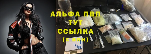 СК Алексин