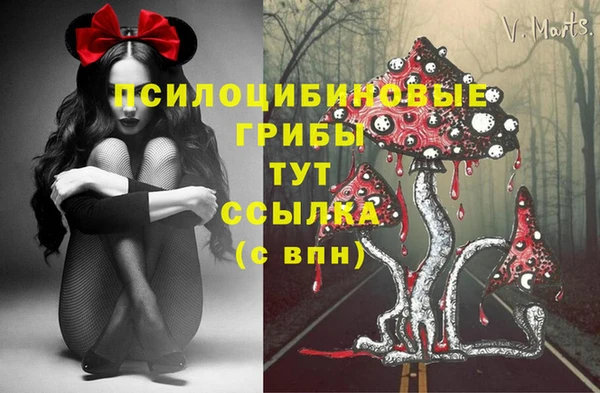 сатива Алзамай