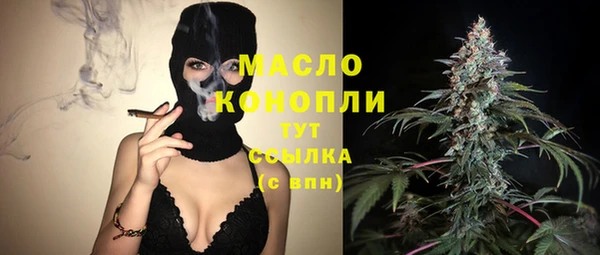 СК Алексин