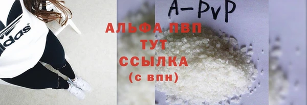СК Алексин