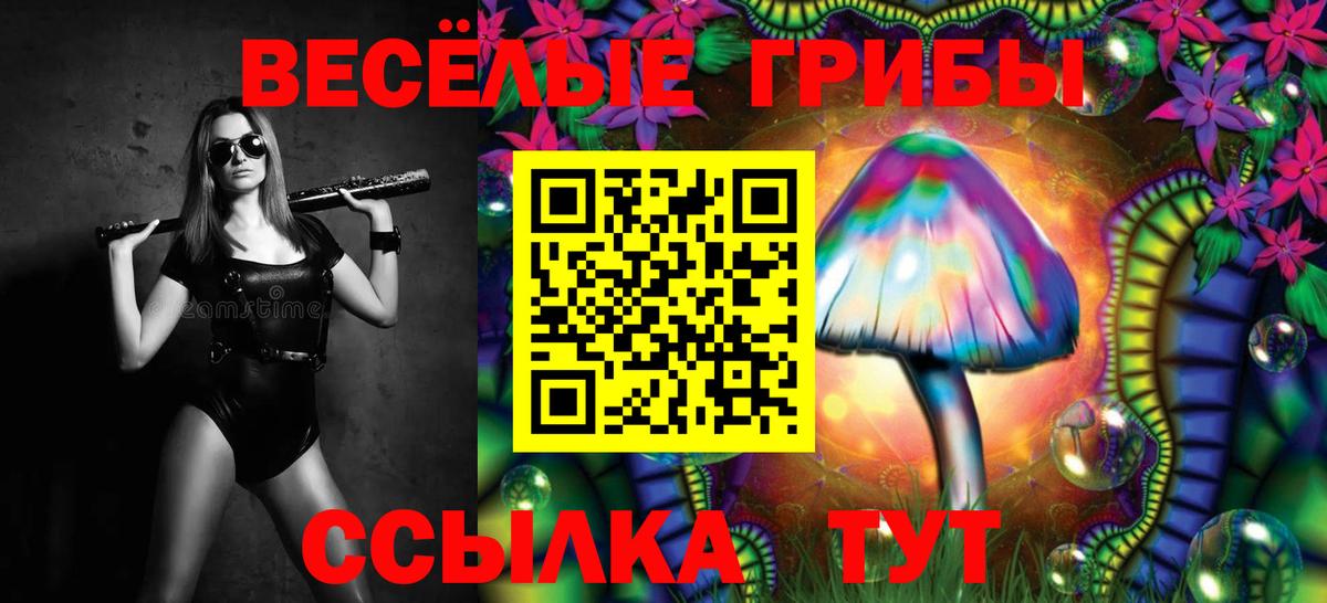 Галлюциногенные грибы мухоморы  Вход с VPN  Ефремов  Псилоцибиновые грибы мухоморы 