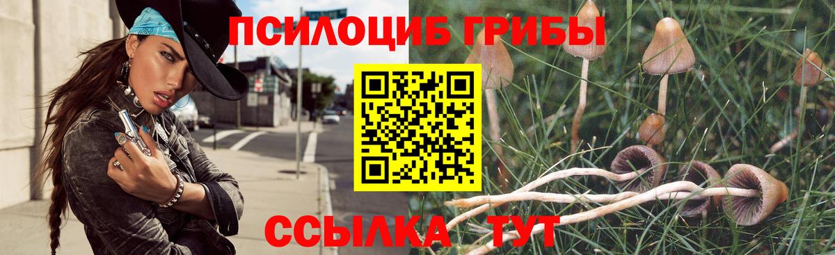 Галлюциногенные грибы мухоморы Ефремов